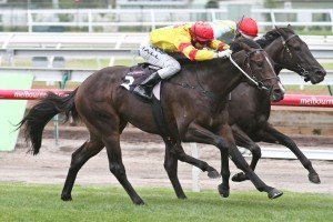 Ready For Victory | Just Horse Racing Ready For Victory