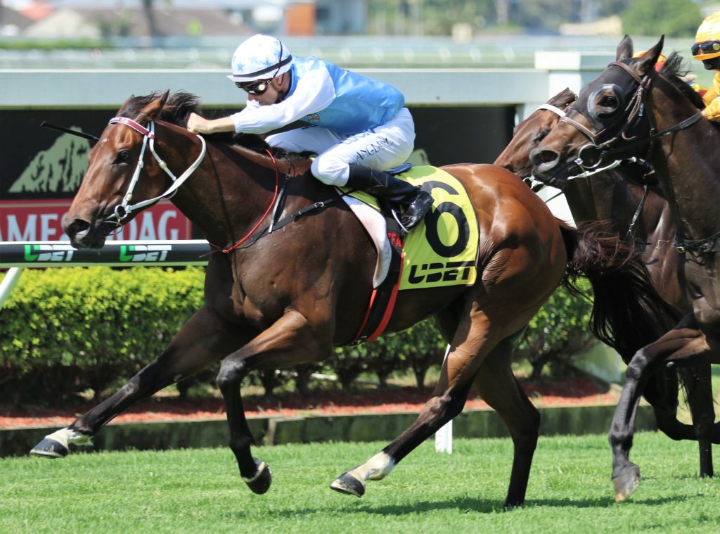 Realing (3) | Just Horse Racing