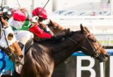 Rebel Dane winning the Clamms Seafood Sir Rupert Clarke Stakes at Caulfield - photo by Race Horse Photos Australia