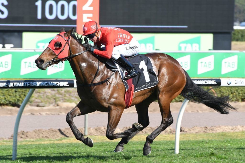 Redzel 010917 4794 | Just Horse Racing