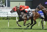 Redzel