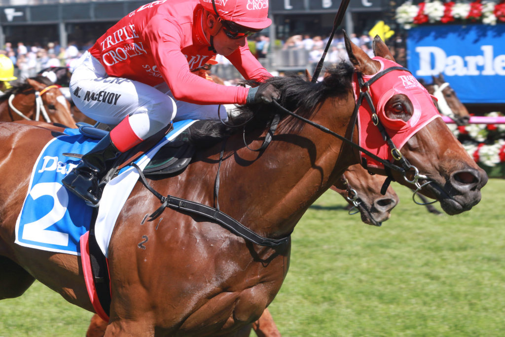 Redzel,Darley Classic,Group 1_11-11-2017_WIN_Flemington_7__3031 | Just Horse Racing