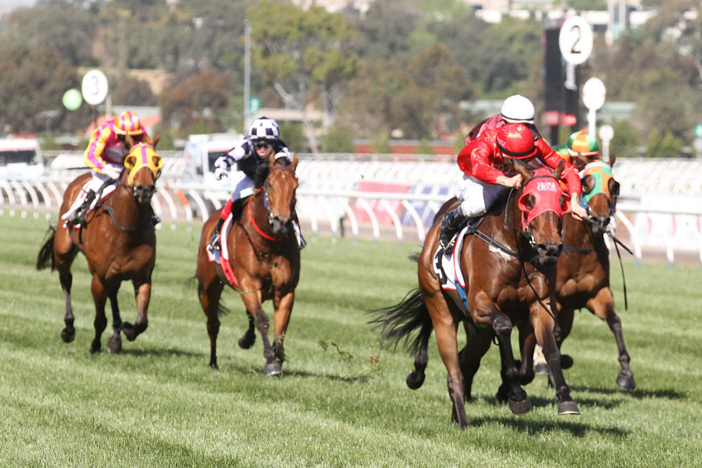 redzel_03-11-2016_win_flemington_7__804 | Just Horse Racing