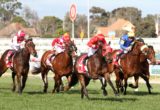 Redzel