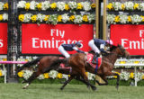 Rekindling, Melbourne Cup