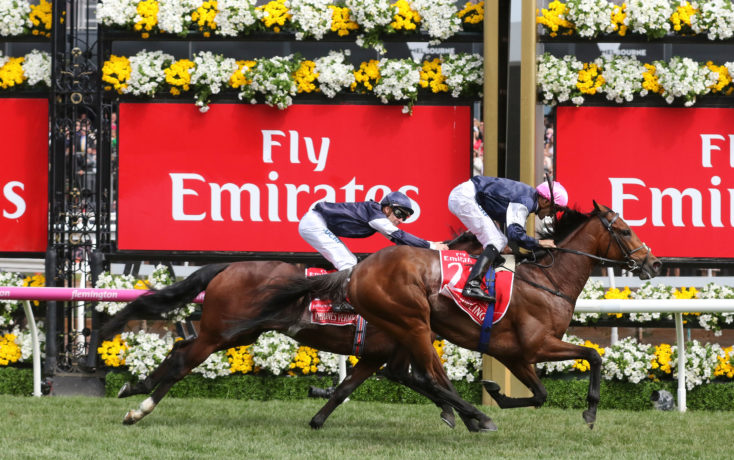 Rekindling, Melbourne Cup