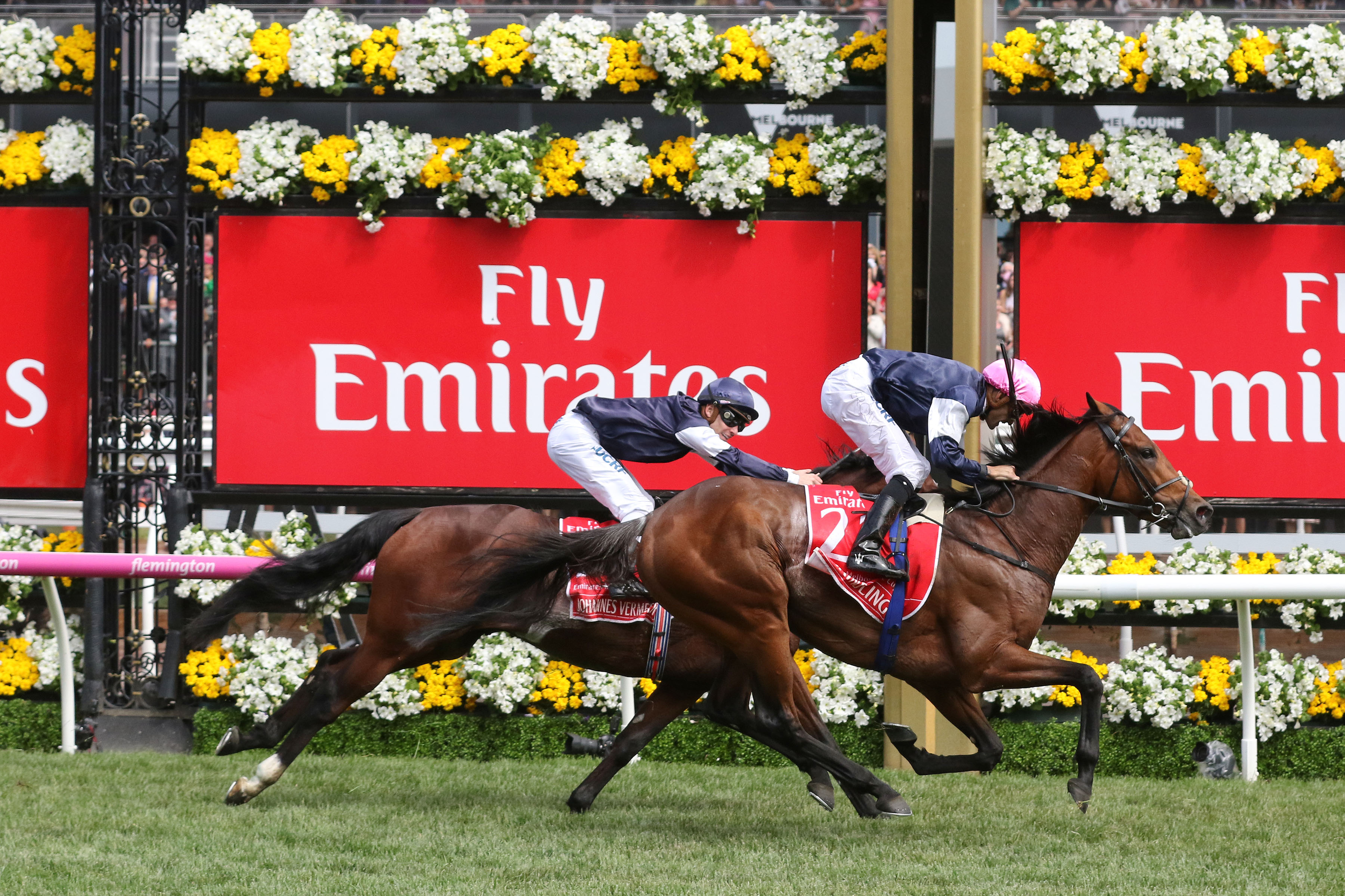 Rekindling, Melbourne Cup 2018