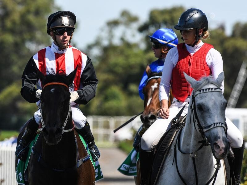 Renewal | Just Horse Racing
