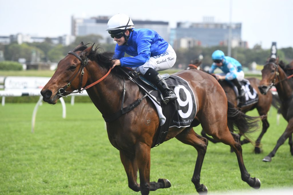 Resin 20102018 0824 | Just Horse Racing
