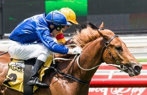 Caulfield Raceday