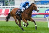 Risen From Doubt winning the Maribyrnong Trial Stakes at Flemington - photo by Race Horse Photos Australia