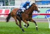 Risen From Doubt winning the Maribyrnong Trial Stakes at Flemington - photo by Race Horse Photos Australia