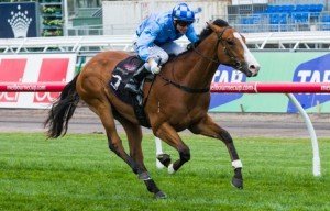 Flemington Raceday | Just Horse Racing Risen From Doubt winning the Maribyrnong Trial Stakes at Flemington - photo by Race Horse Photos Australia