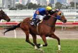 Riziz winning the All Victorian Sprint Series Final at Flemington - photo by Race Horse Photos Australia