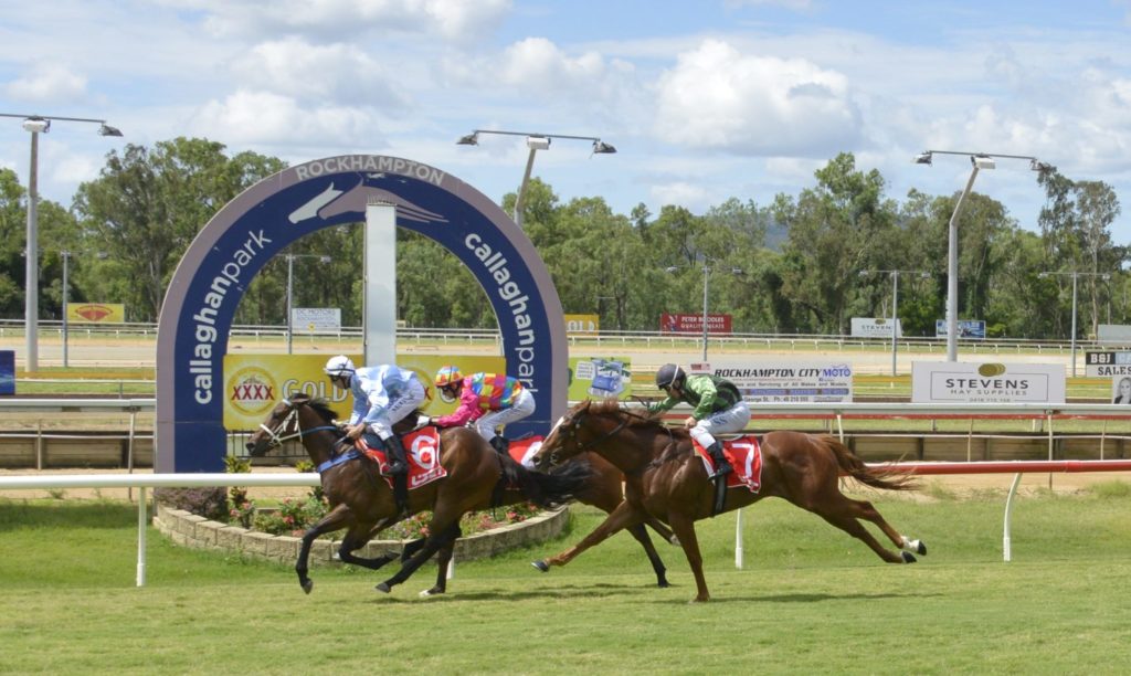 23/5/2024 Horse Racing Tips and Best Bets – Rockhampton