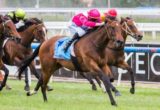 Romancingthestone winning the Claire Andrews Handicap at Caulfield ridden by Josh Cartwright and trained by Robbie Griffiths - (photo by Steven Dowden/Race Horse Photos Australia)