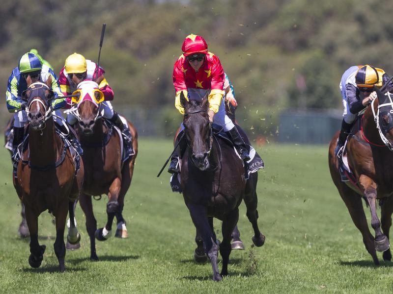 Rosehill Auvray | Just Horse Racing