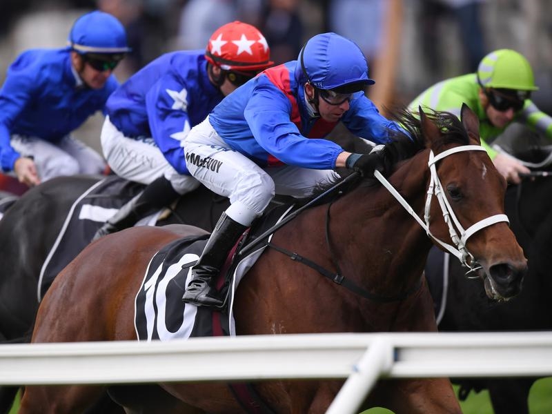 Rosehill Dagny | Just Horse Racing