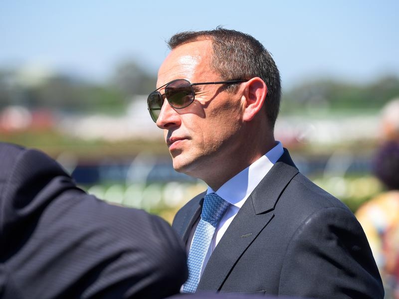 Chris Waller | Just Horse Racing