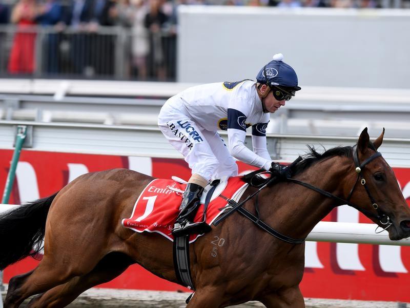 Rosehill Magic | Just Horse Racing