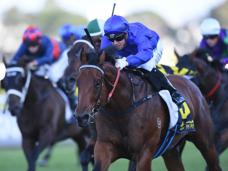 Osborne Bulls | Just Horse Racing