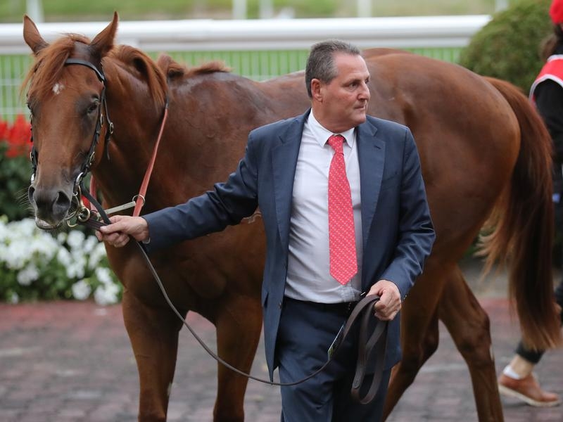 Rosehill Pago | Just Horse Racing