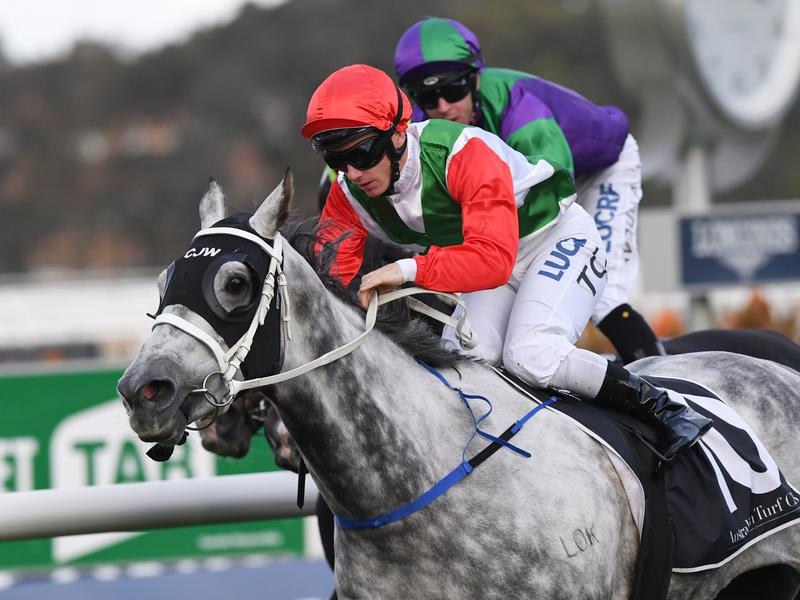 Rosehill Preview | Just Horse Racing