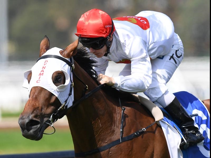 Rosehill Sellwood | Just Horse Racing