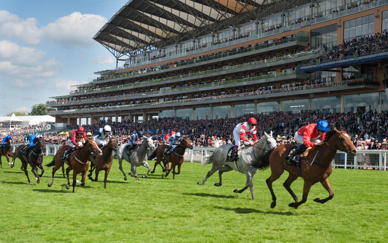 Royal Ascot Gold Cup Field 2023