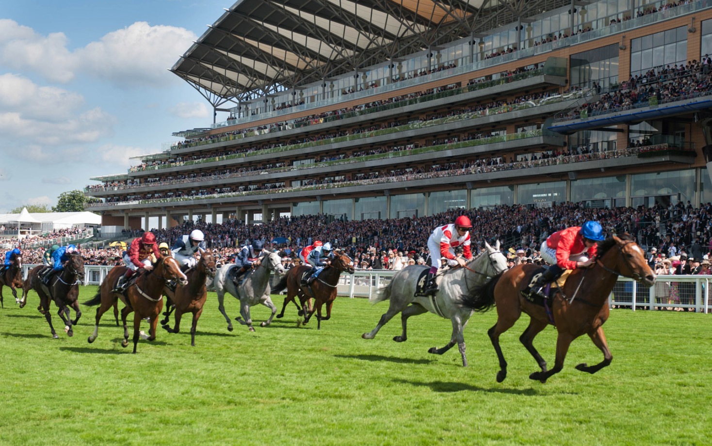 royal ascot racing tours 2023