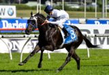 Yankee Rose
