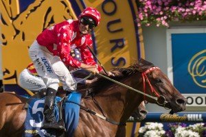 Shamal Wind | Just Horse Racing Shamal Wind