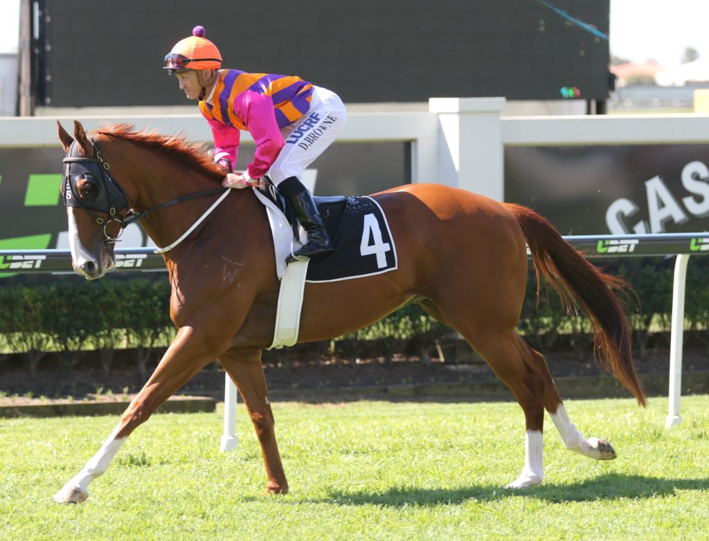 SOMEDAY - Damian Browne | Just Horse Racing