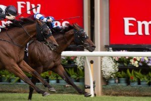 Spillway | Just Horse Racing Spillway