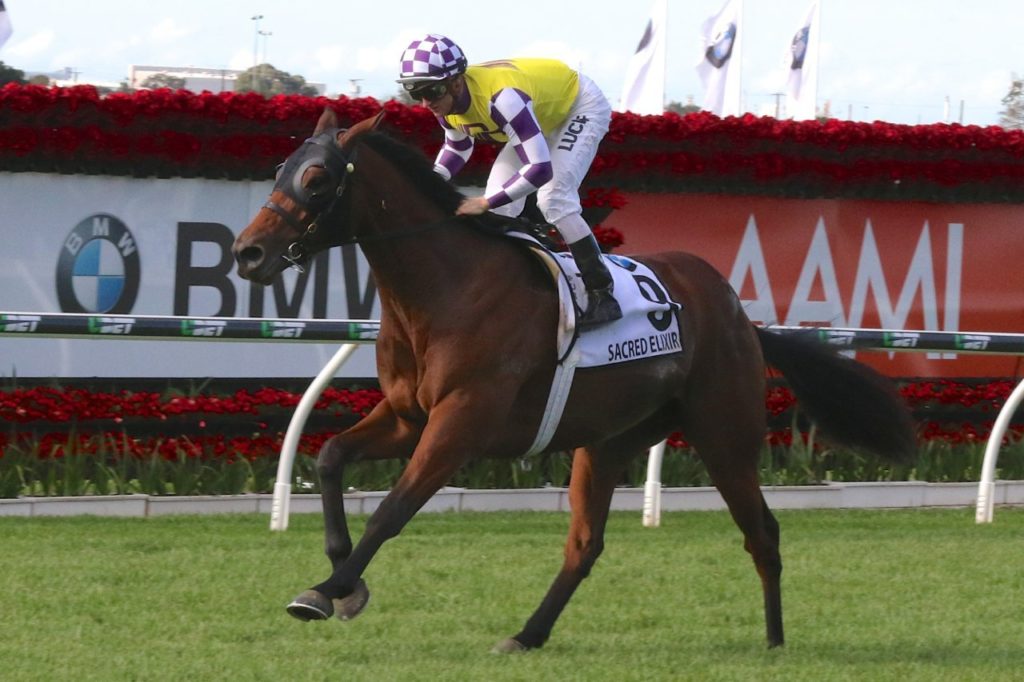 Sacred Elixir - JJ Atkins Stakes | Just Horse Racing Sacred Elixir - JJ Atkins Stakes