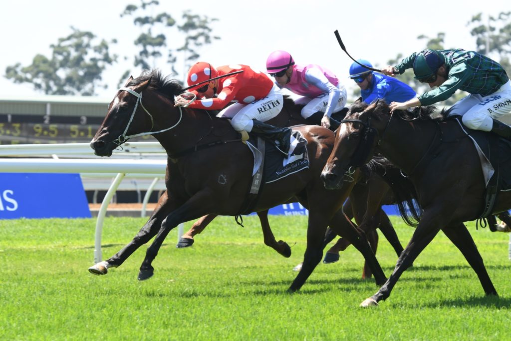 Sandbar 100218 3758 | Just Horse Racing