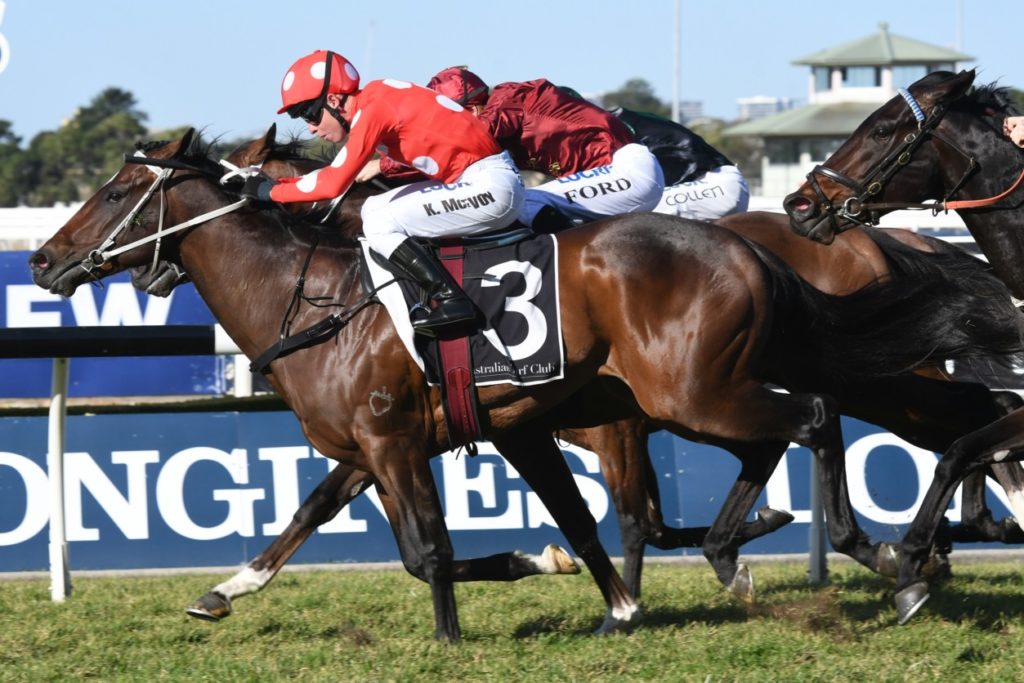 Sandbar 110818 4480 | Just Horse Racing