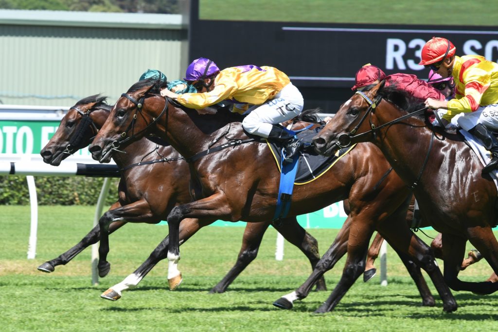 Santos 030318 8505 | Just Horse Racing