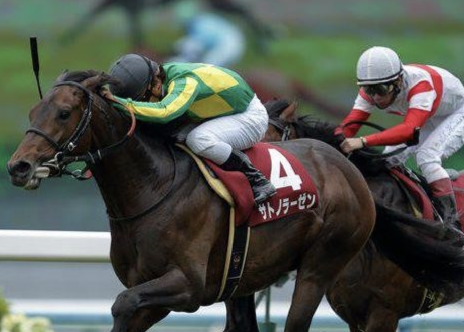 Satono Rasen | Just Horse Racing