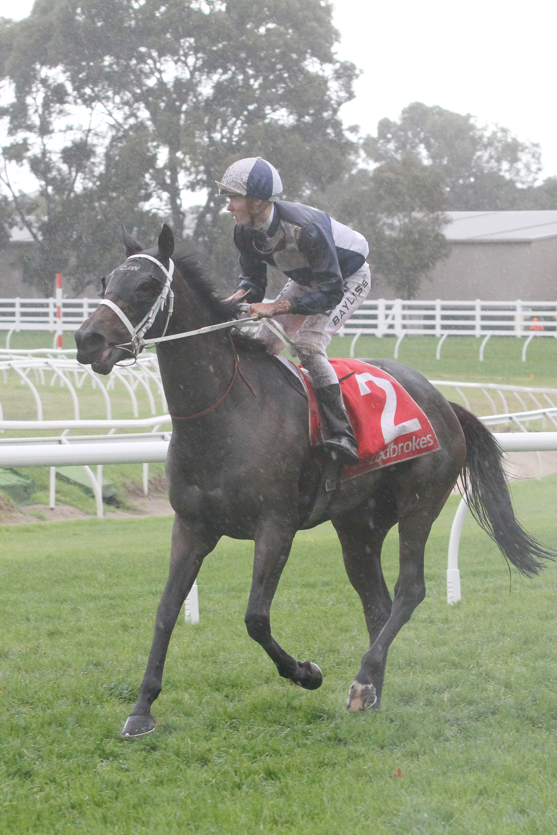 Savacool-20180414-0382 | Just Horse Racing