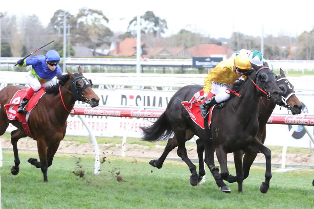 Savannah Amour,Cockram Stakes,Group 3_02-09-2017_WIN_Caulfield_5__680 | Just Horse Racing