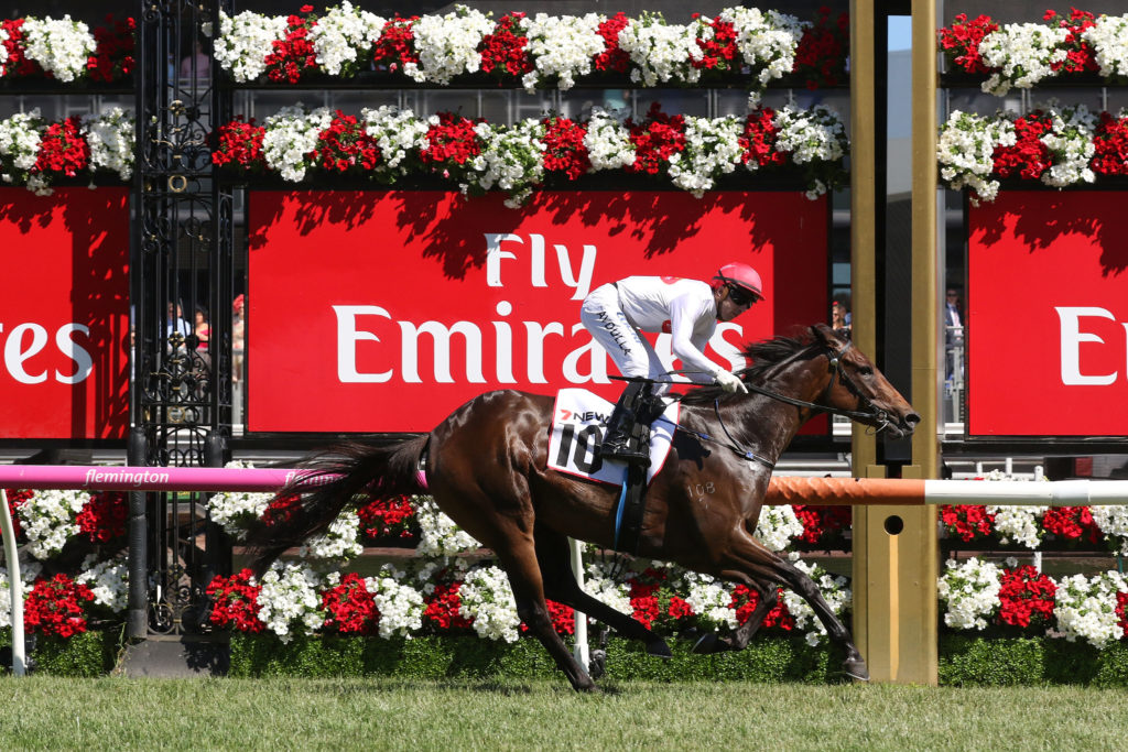 Savapinski,Matraiarch Stakes,Group 2_11-11-2017_WIN_Flemington_6__1521 | Just Horse Racing