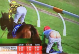 Blake Shinn's backside