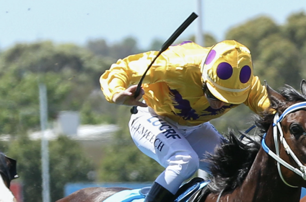 whip rules | Just Horse Racing