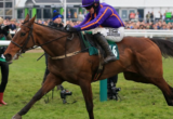 Wicklow Brave