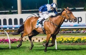Moonee Valley Raceday
