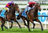 Segregation winning the ALH Group Plate at Caulfield ridden by Steven Arnold and trained by John O'Shea - (photo by Steven Dowden/Race Horse Photos Australia)