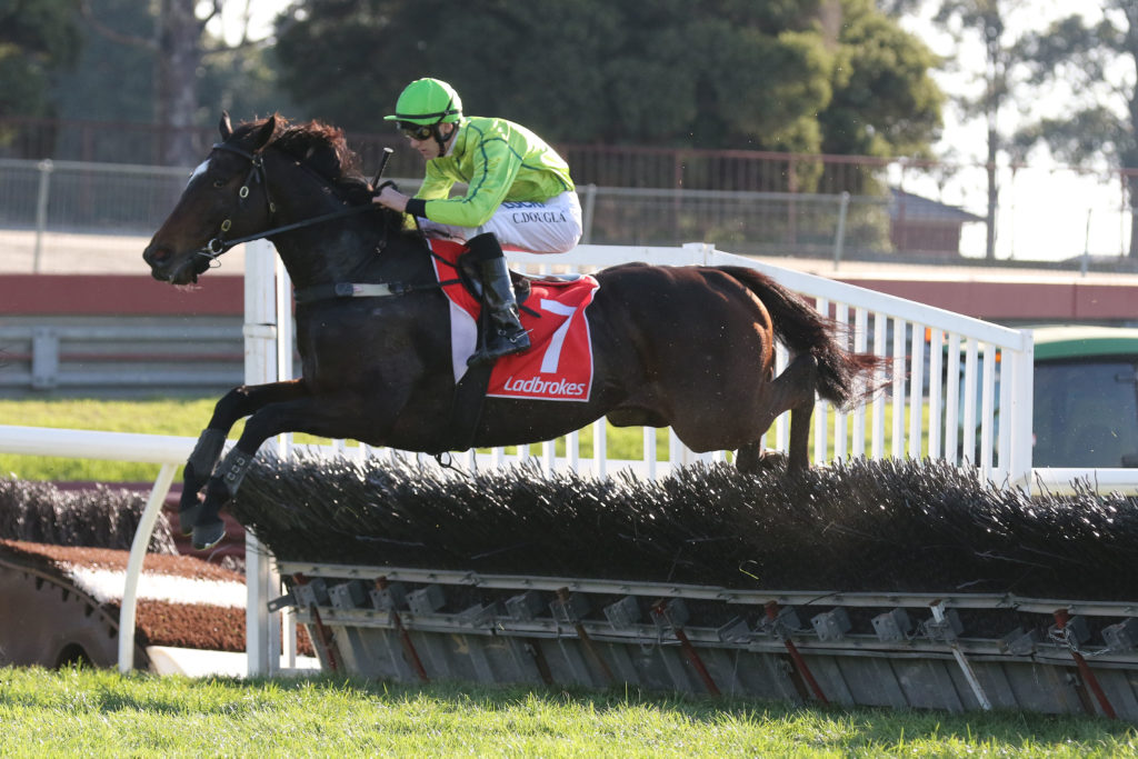 Self Sense,Ladbrokes Australian Hurdle_26-09-2018_WIN_Sandown_5__1437 | Just Horse Racing