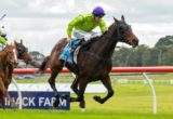 Self Sense winning the Roy Higgins & Wylie Dalziel Racing Handicap at Sandown - photo by Race Horse Photos Australia