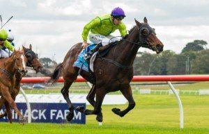 Self Sense winning the Roy Higgins & Wylie Dalziel Racing Handicap at Sandown - photo by Race Horse Photos Australia